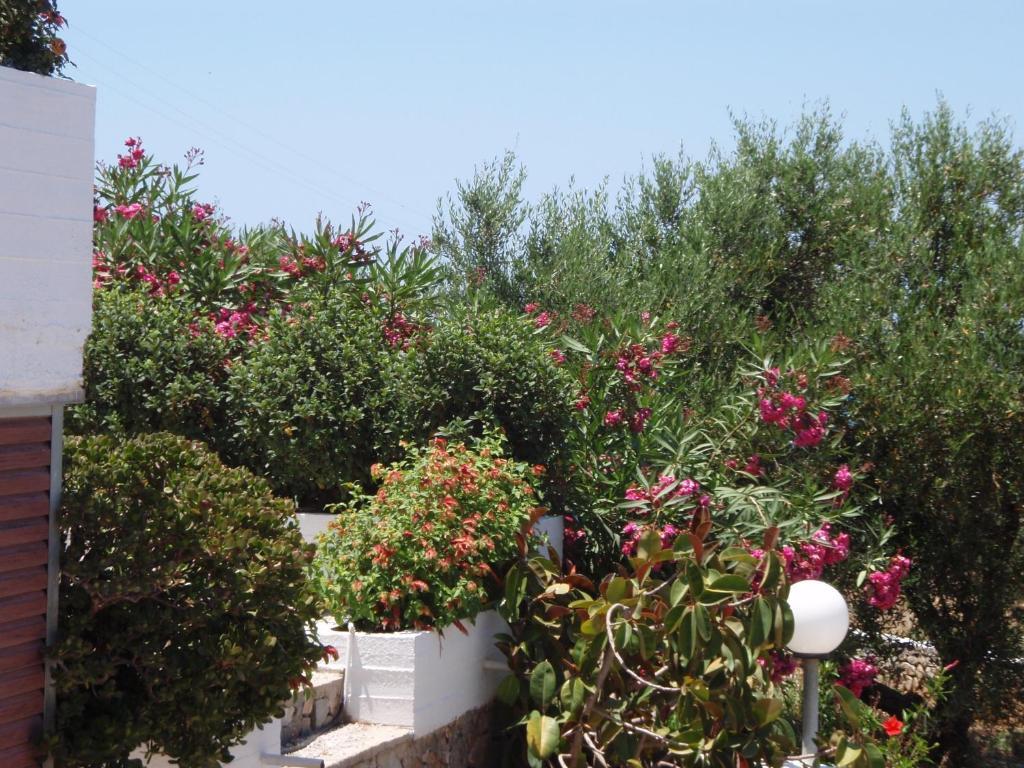 Villas Michalis Χωραφάκια Εξωτερικό φωτογραφία
