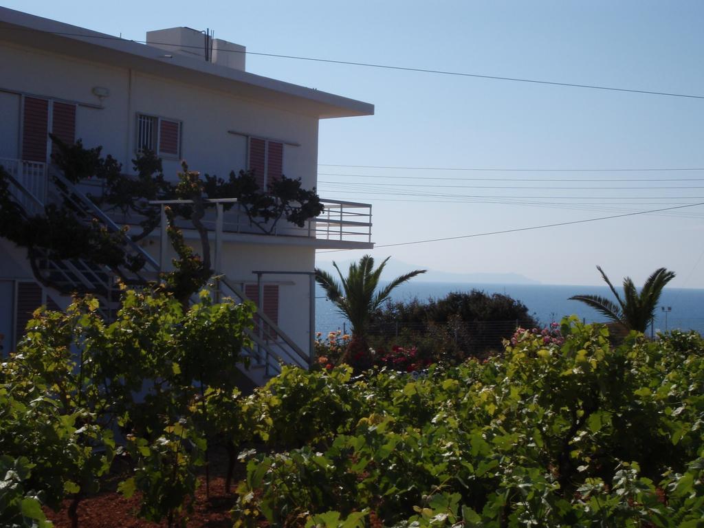 Villas Michalis Χωραφάκια Εξωτερικό φωτογραφία