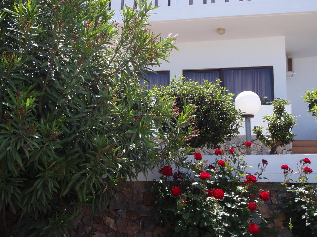 Villas Michalis Χωραφάκια Εξωτερικό φωτογραφία