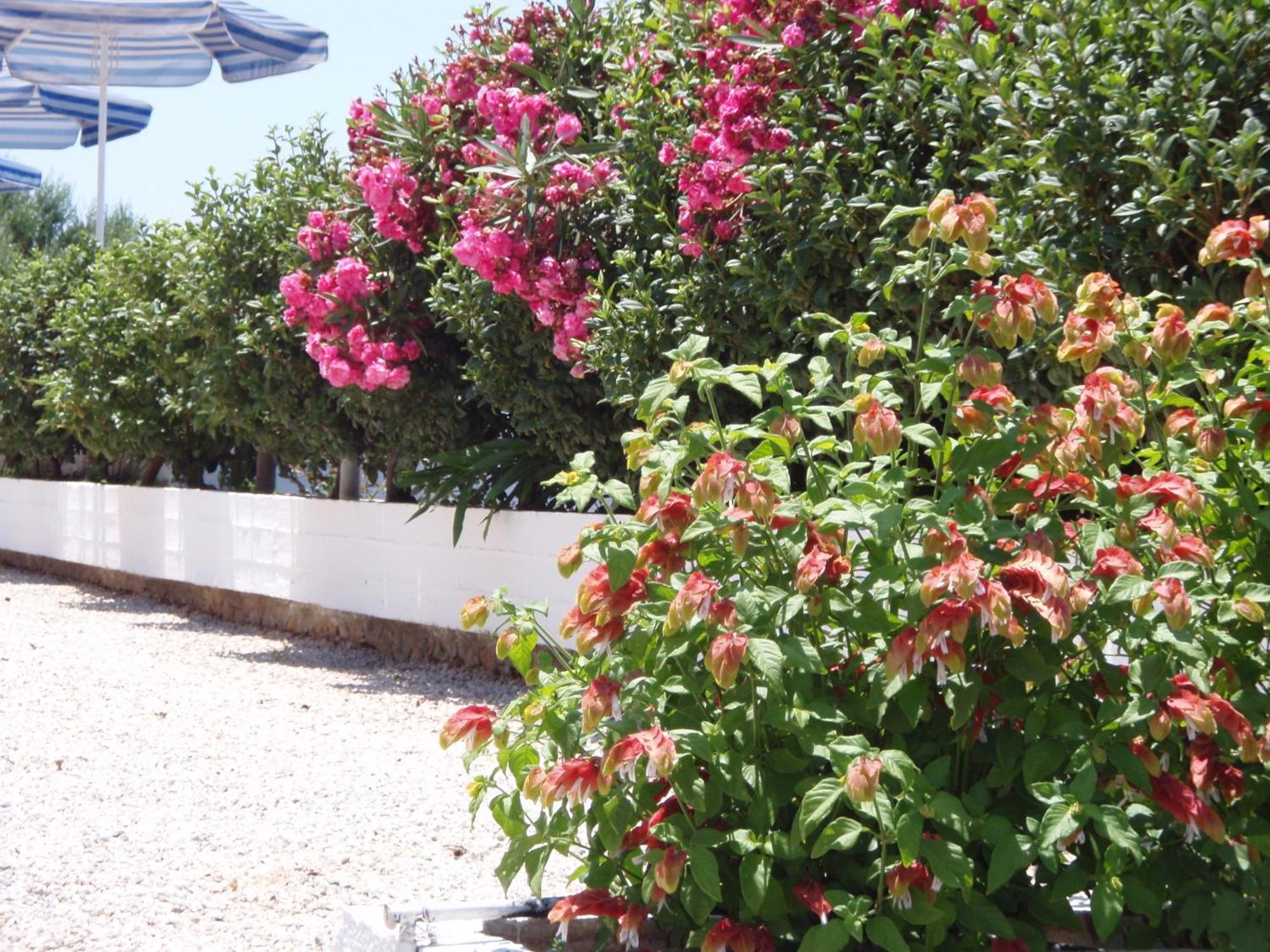 Villas Michalis Χωραφάκια Εξωτερικό φωτογραφία