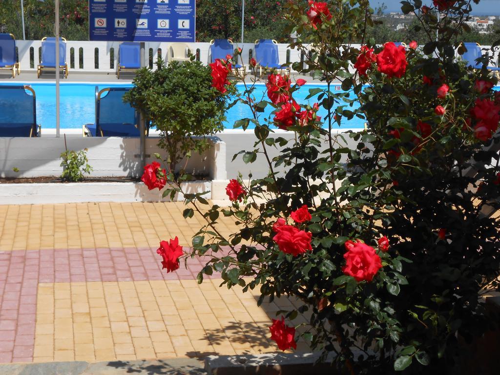 Villas Michalis Χωραφάκια Εξωτερικό φωτογραφία