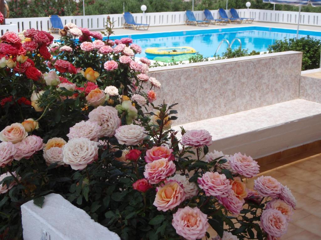 Villas Michalis Χωραφάκια Εξωτερικό φωτογραφία